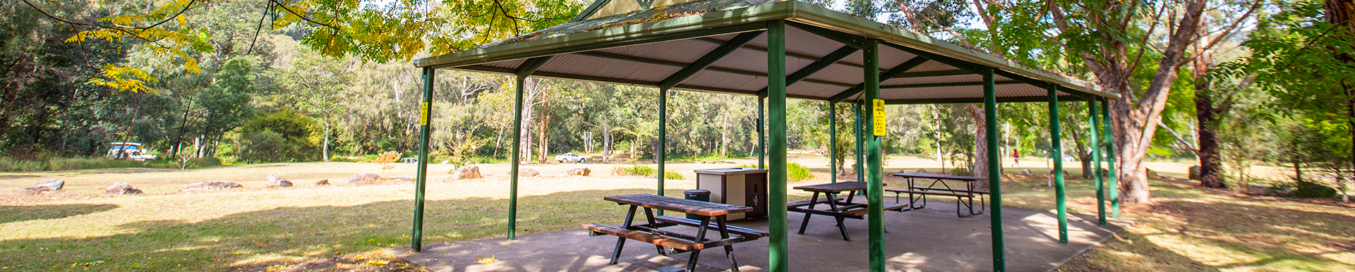 Bushcare Newsletters