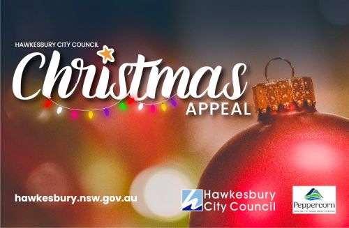Graphic advertising the Council Christmas Appeal 2021