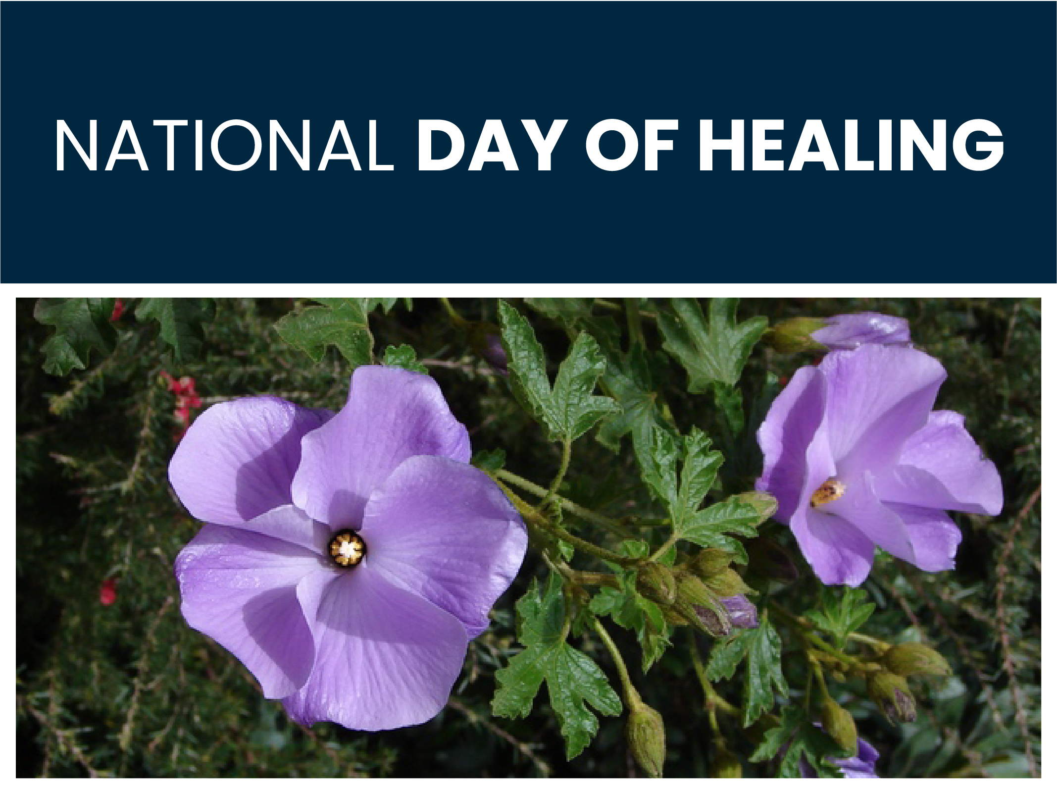 National Day Of Healing 2025