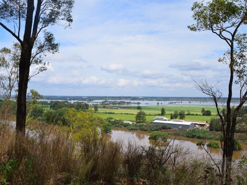 River during floods