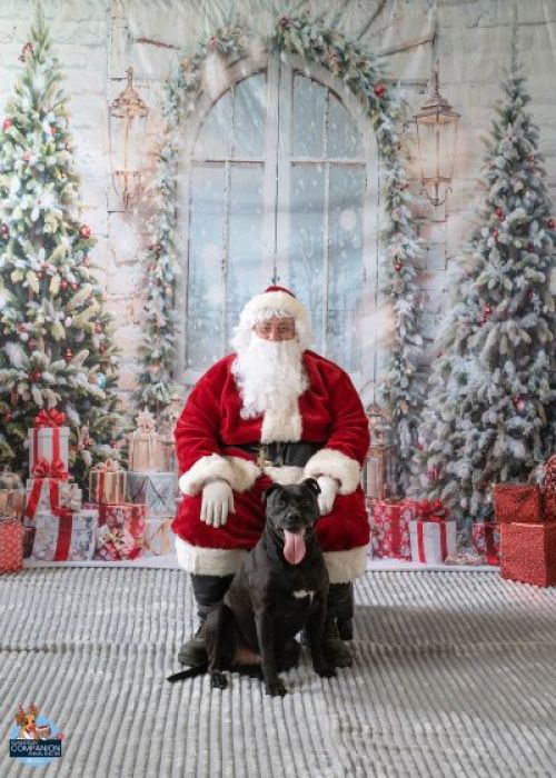 Picture of Santa and a dog