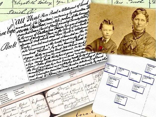 Organise your family history - web
