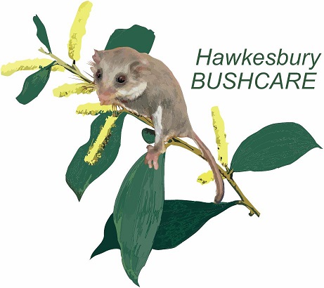 Bushcare Logo