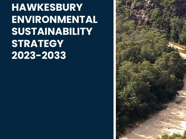 Environmental Sustainability Strategy adopted