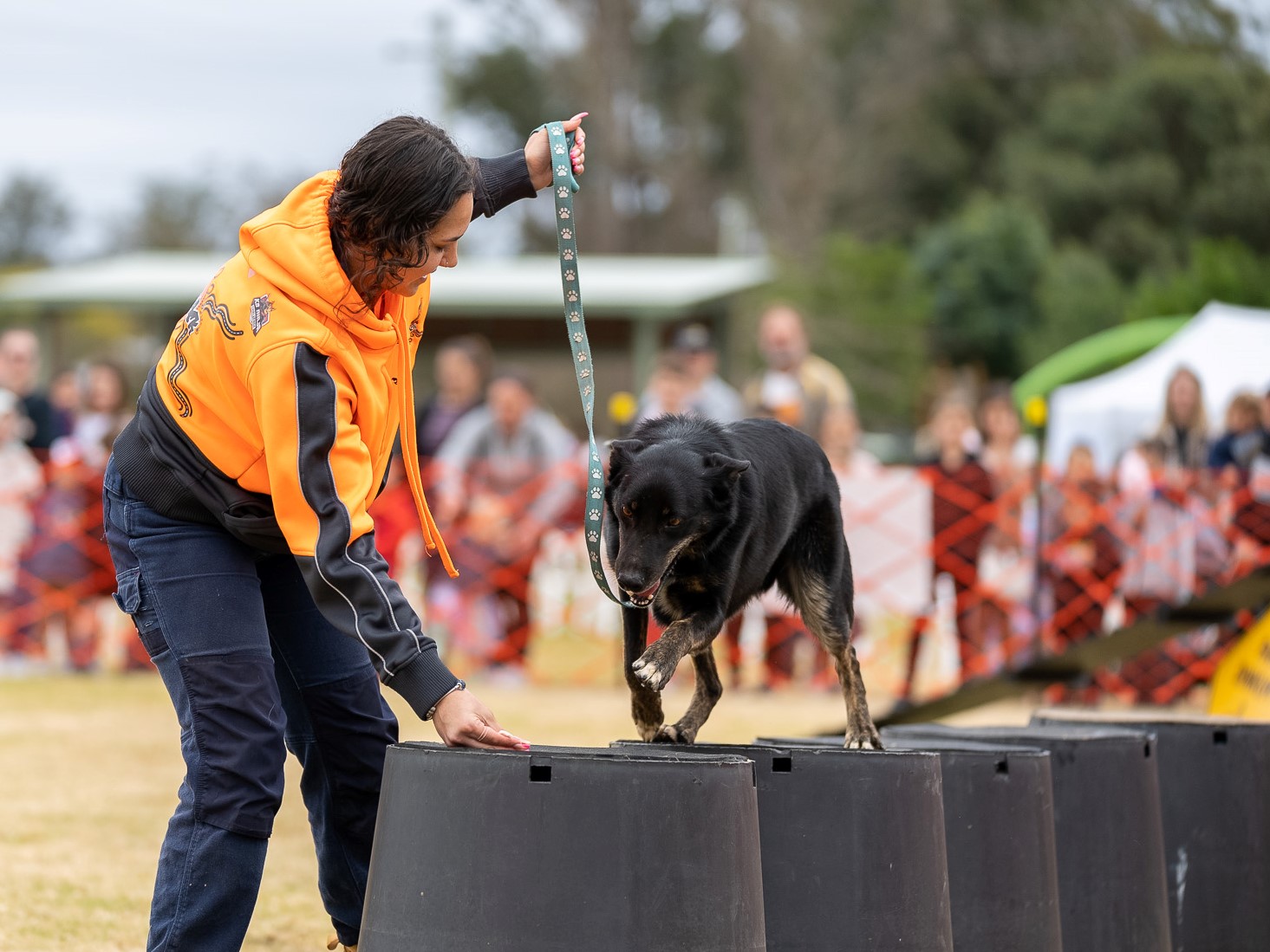 RuffTRACK demonstrations at Hawkesbury Fest1