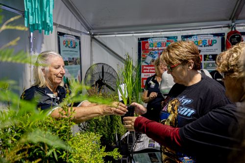 Nursery volunteer Claire gives a plant to a visitor
