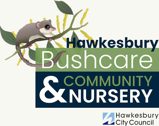 Bushcare Logo