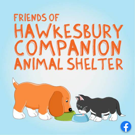 Animal shelter facebook page photo