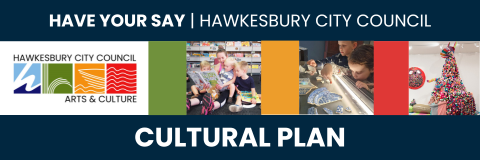 Cultural Plan - Have Your Say