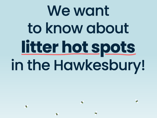 Litter hot spots - web