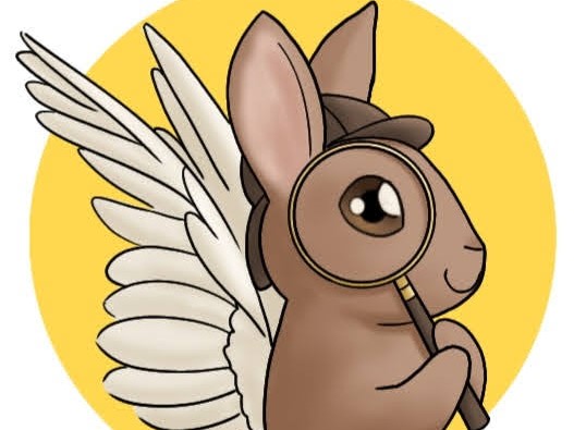 Detective flabbit