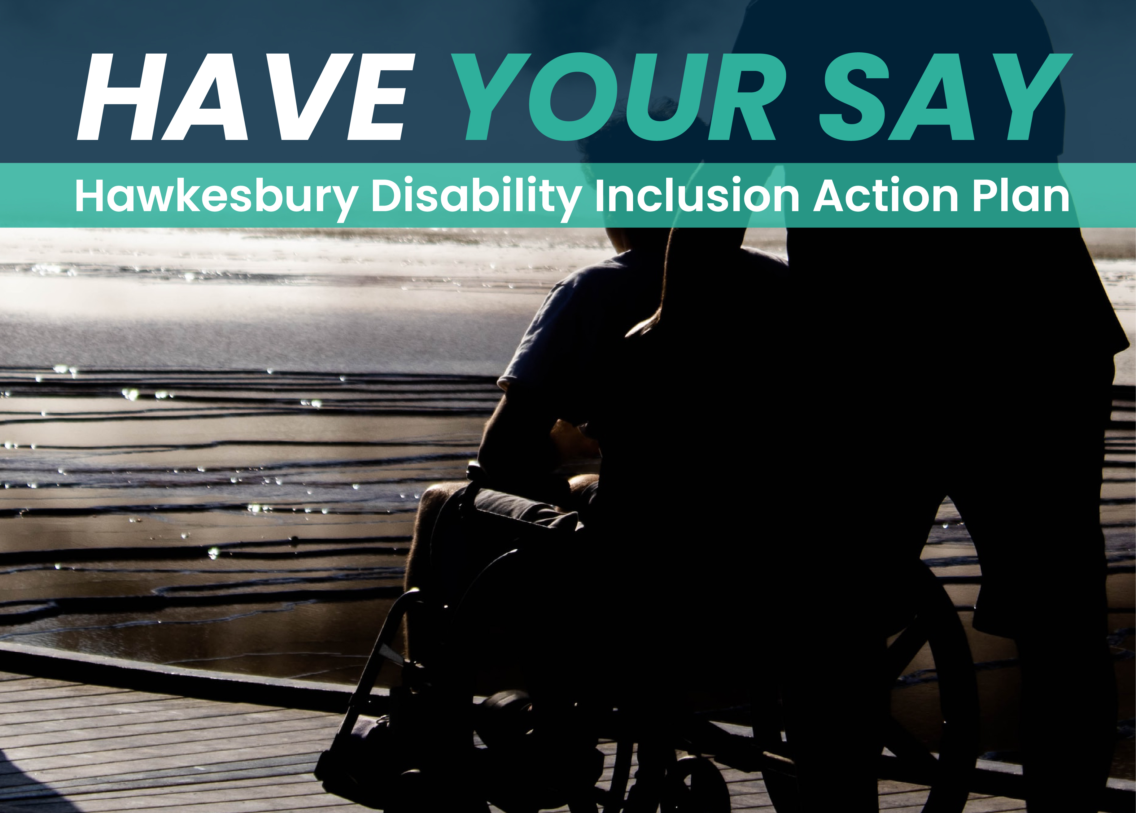 Disability Inclusion Action Plan