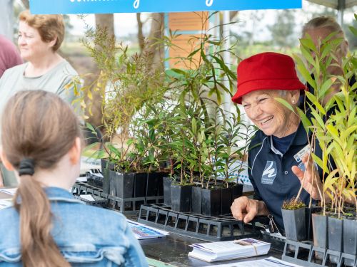 Free plants at Hawkesbury Fest