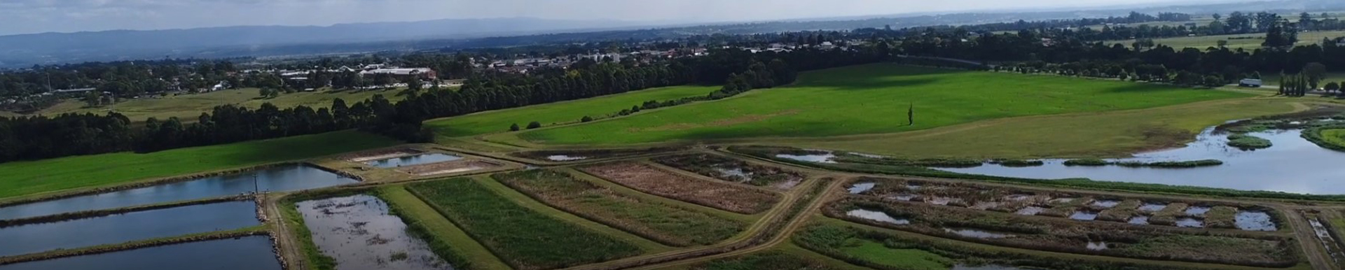 McGraths Hill Effluent Reuse and Wetlands Project