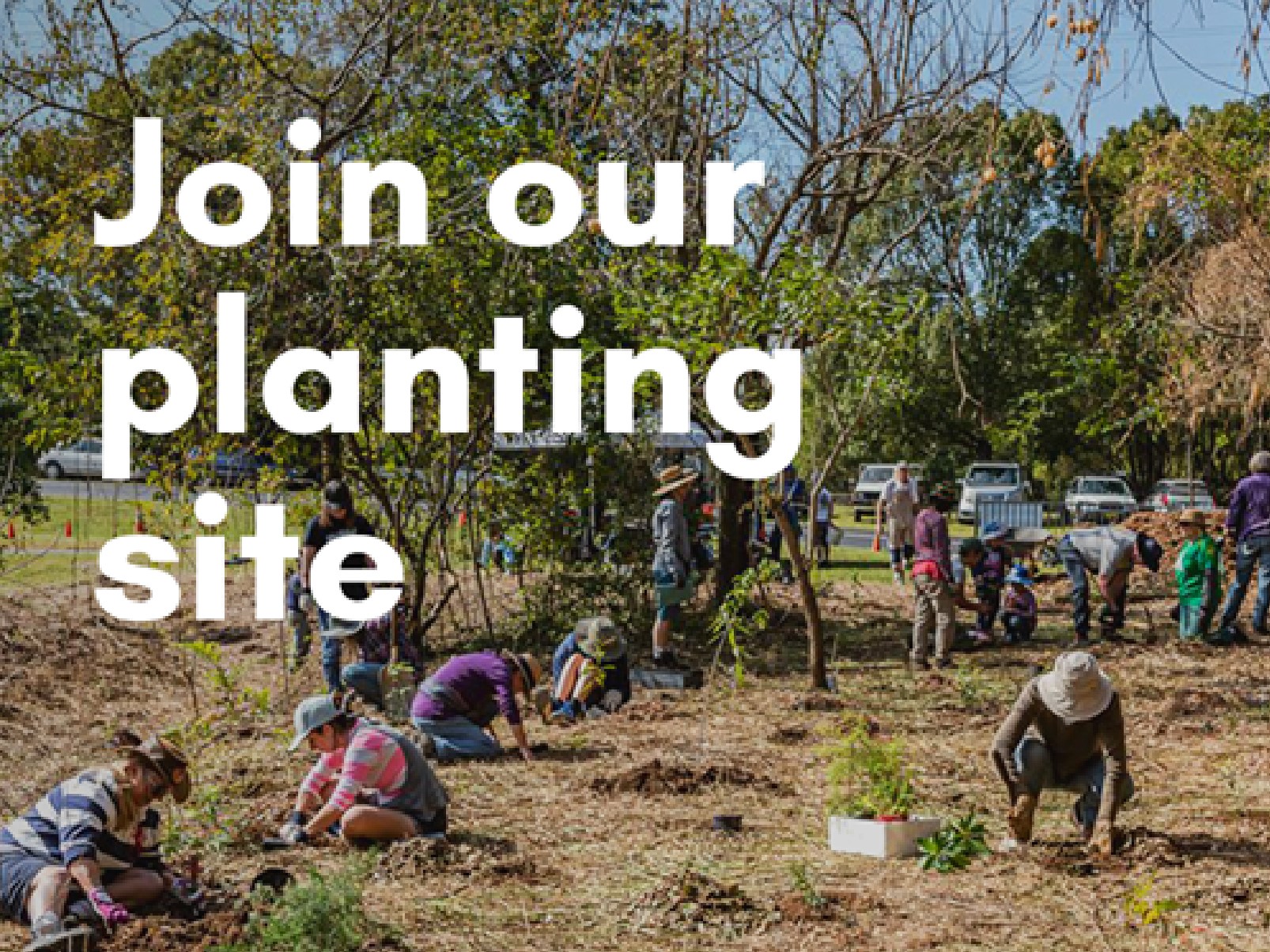 Join our planting site