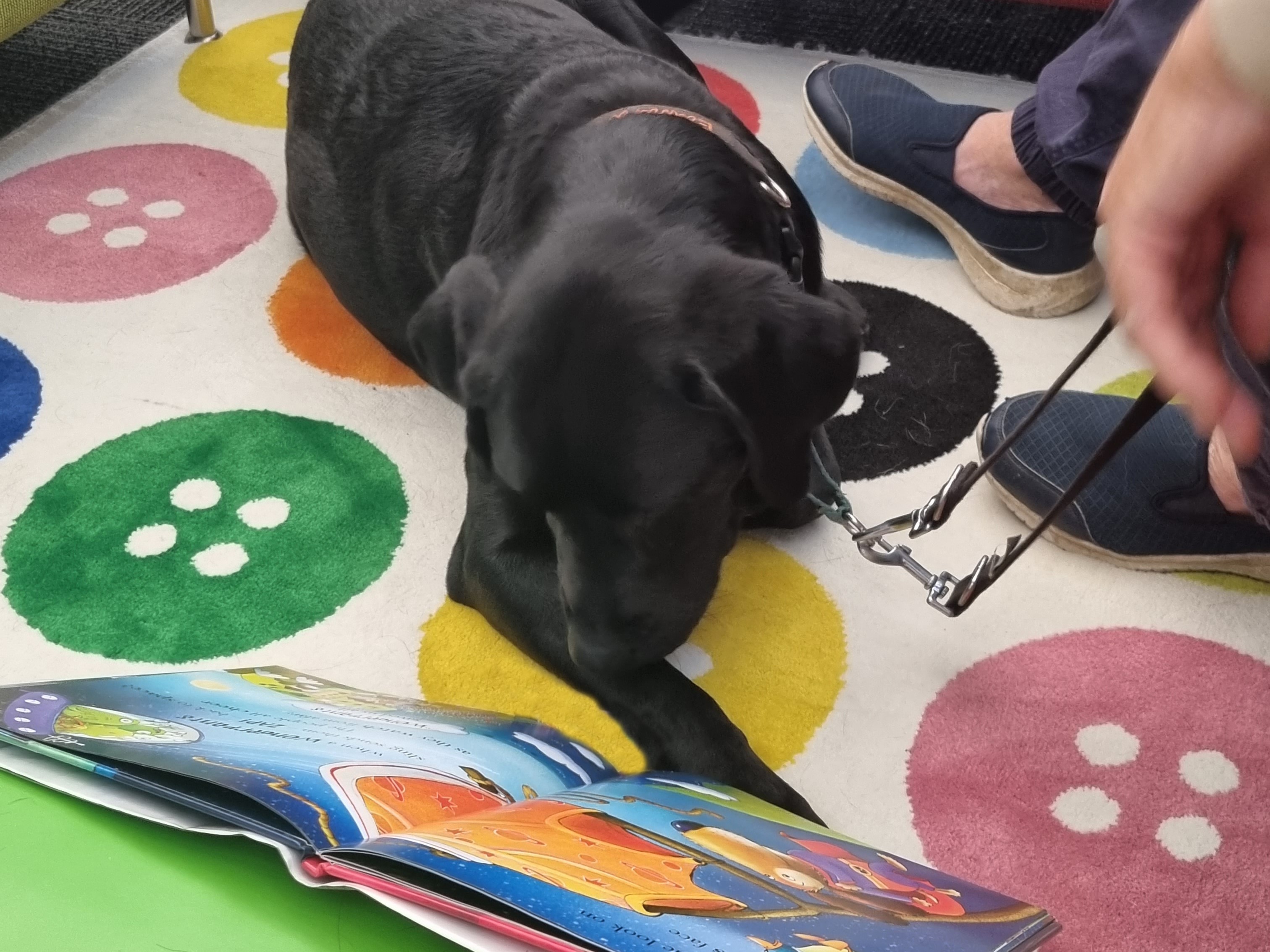 Library - Puppy dog Tales - Eddie reading