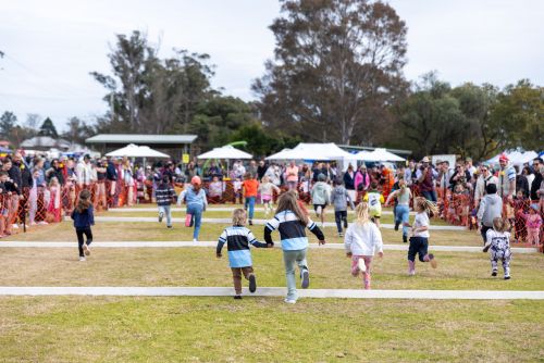 A picture of the crowd at Hawkesbury Fest 2024