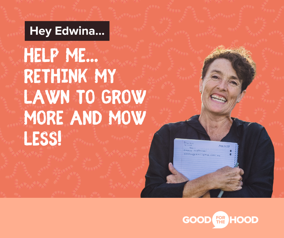 Rethink my lawn to grow more and mow less