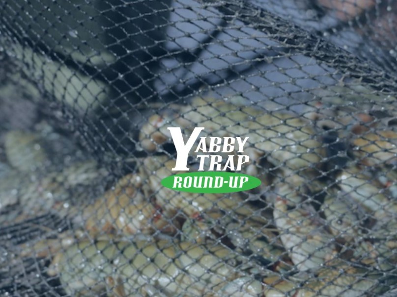 Yabby Trap Round-Up