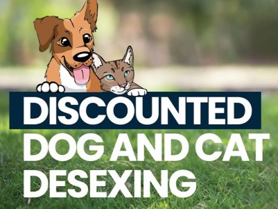 Animal Shelter - Discounted desexing image