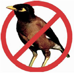 Logo indian Myna Bird with red circle and line through it.