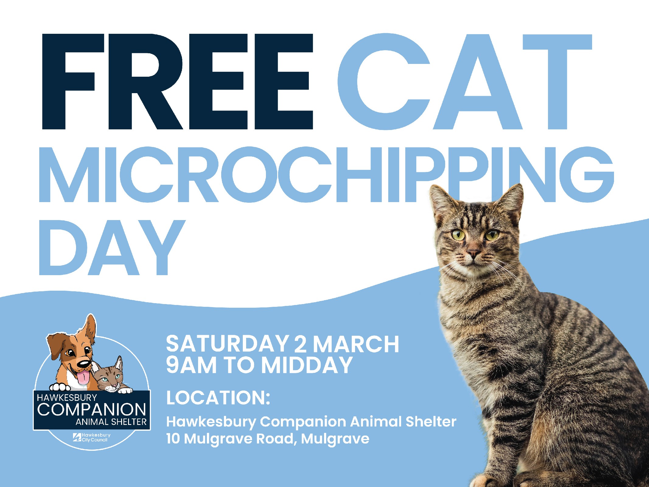 Animal Shelter Microchipping Day
