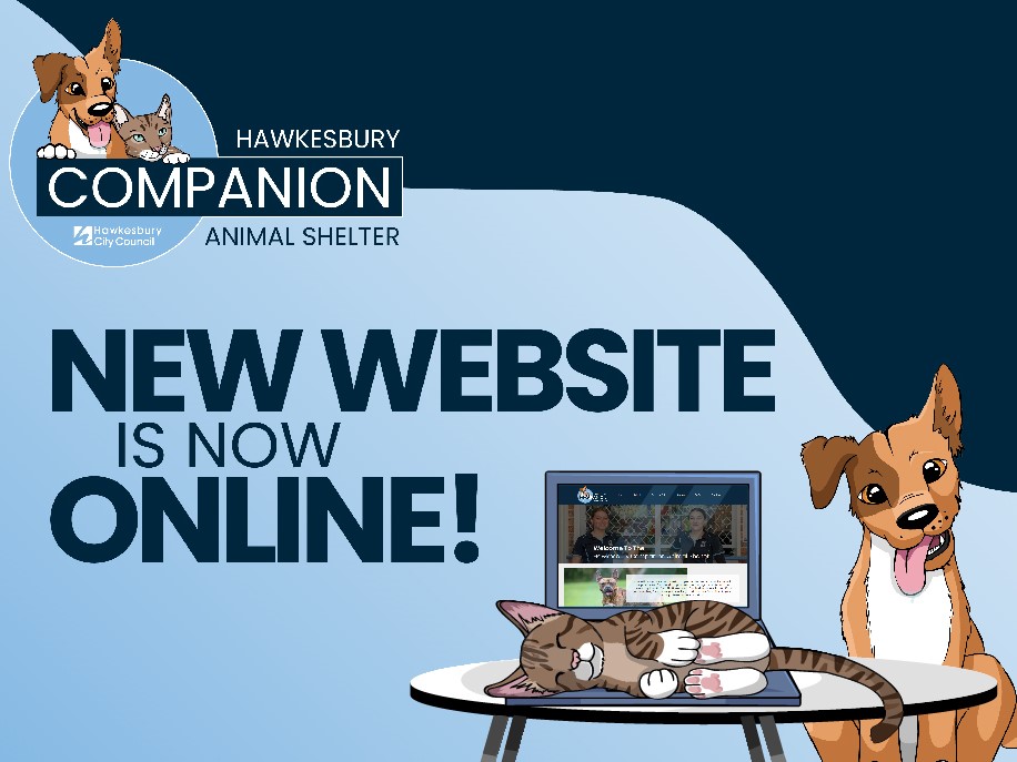 Animal Shelter new website