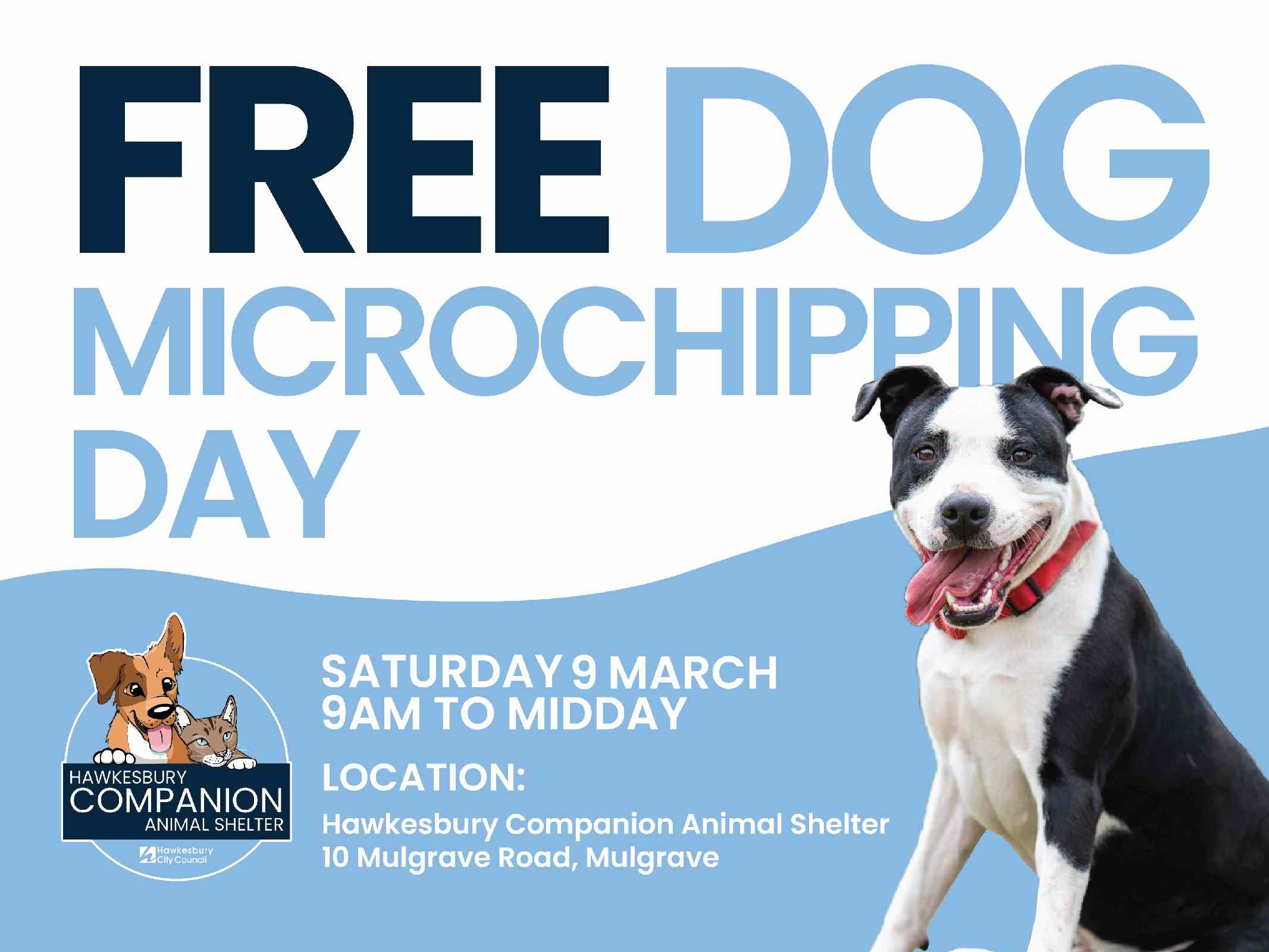 Animal Shelter - Free Dog Microchipping Day