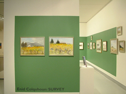 Enid Colquhoun: Survey